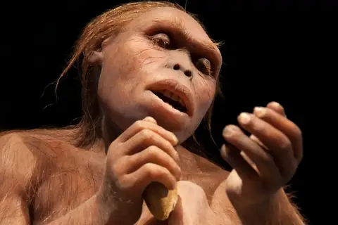 The Surprising Truth Behind the Myth of ‘the Carnivore Caveman’