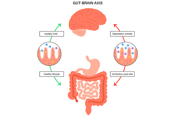 Incorporating vitamins good for gut health into your daily regimen can significantly enhance digestive wellness.